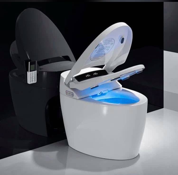 Smart Toilet