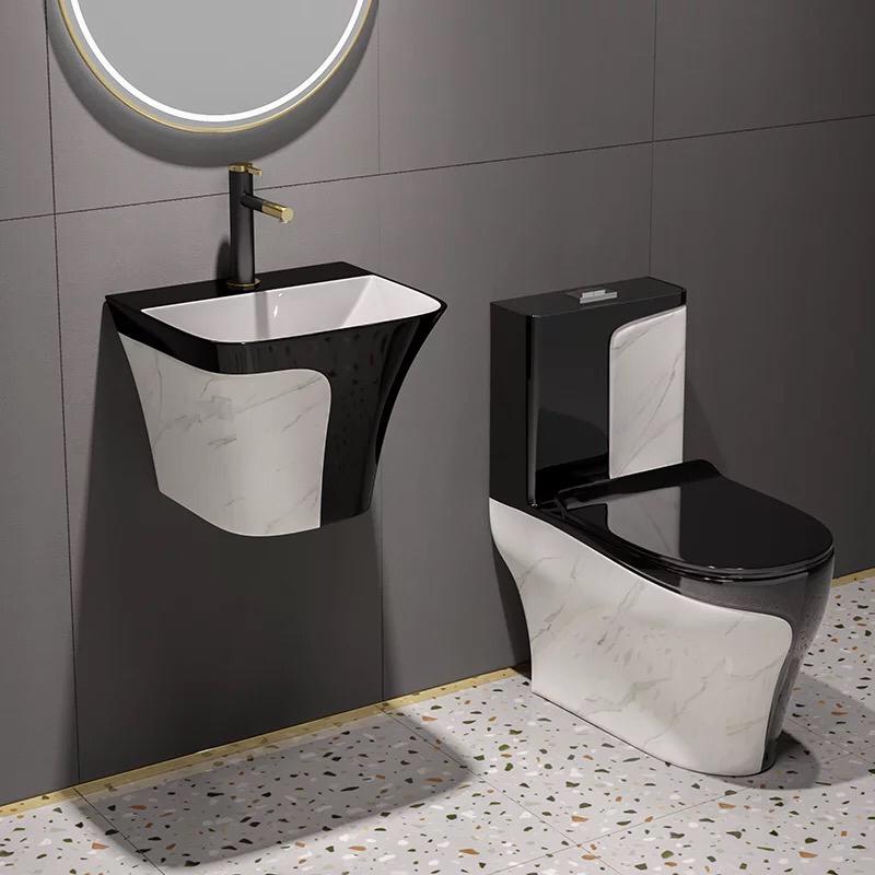 Luxury Black & White WC with WHB