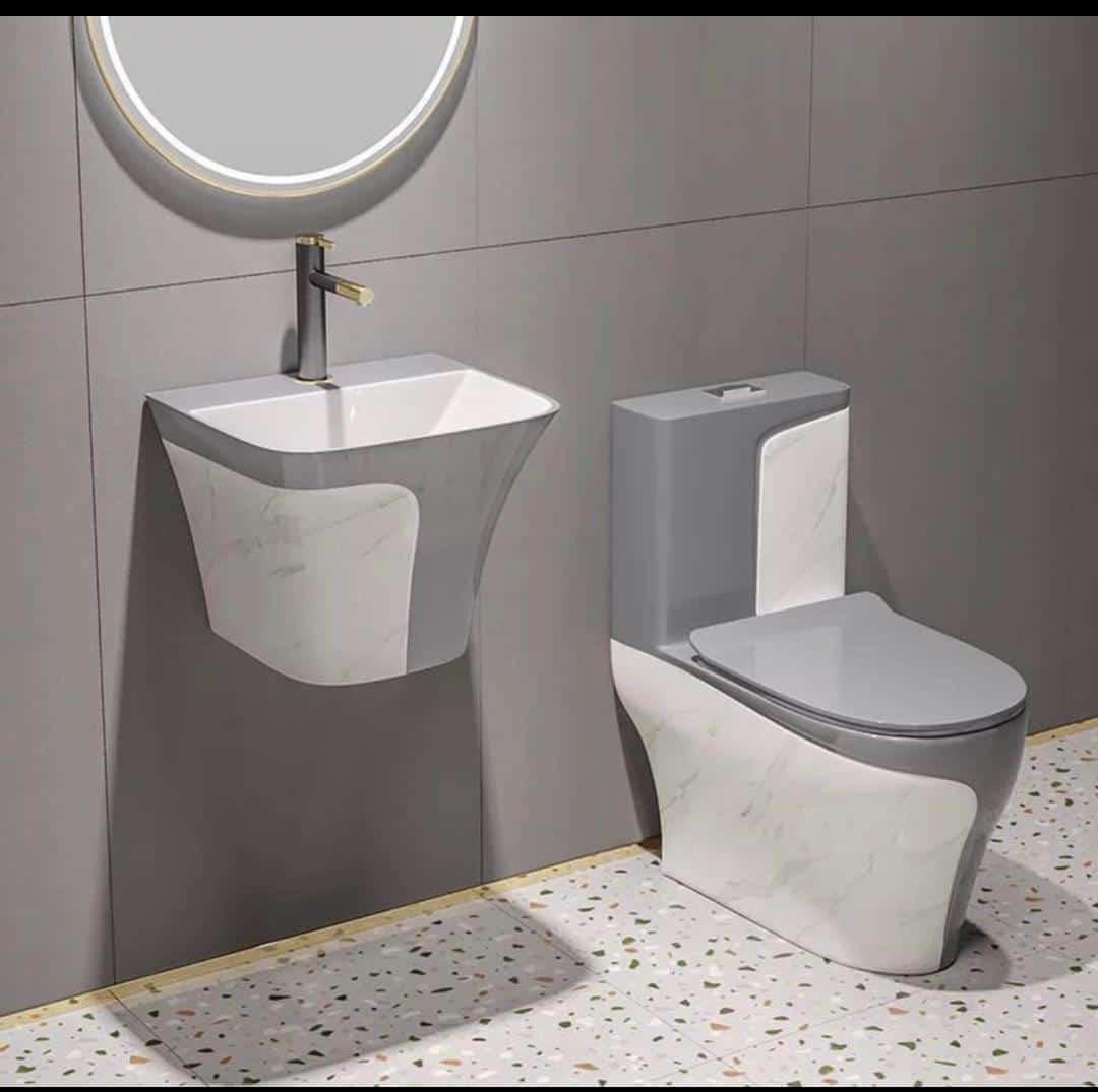 Luxury Grey & White WC with WHB