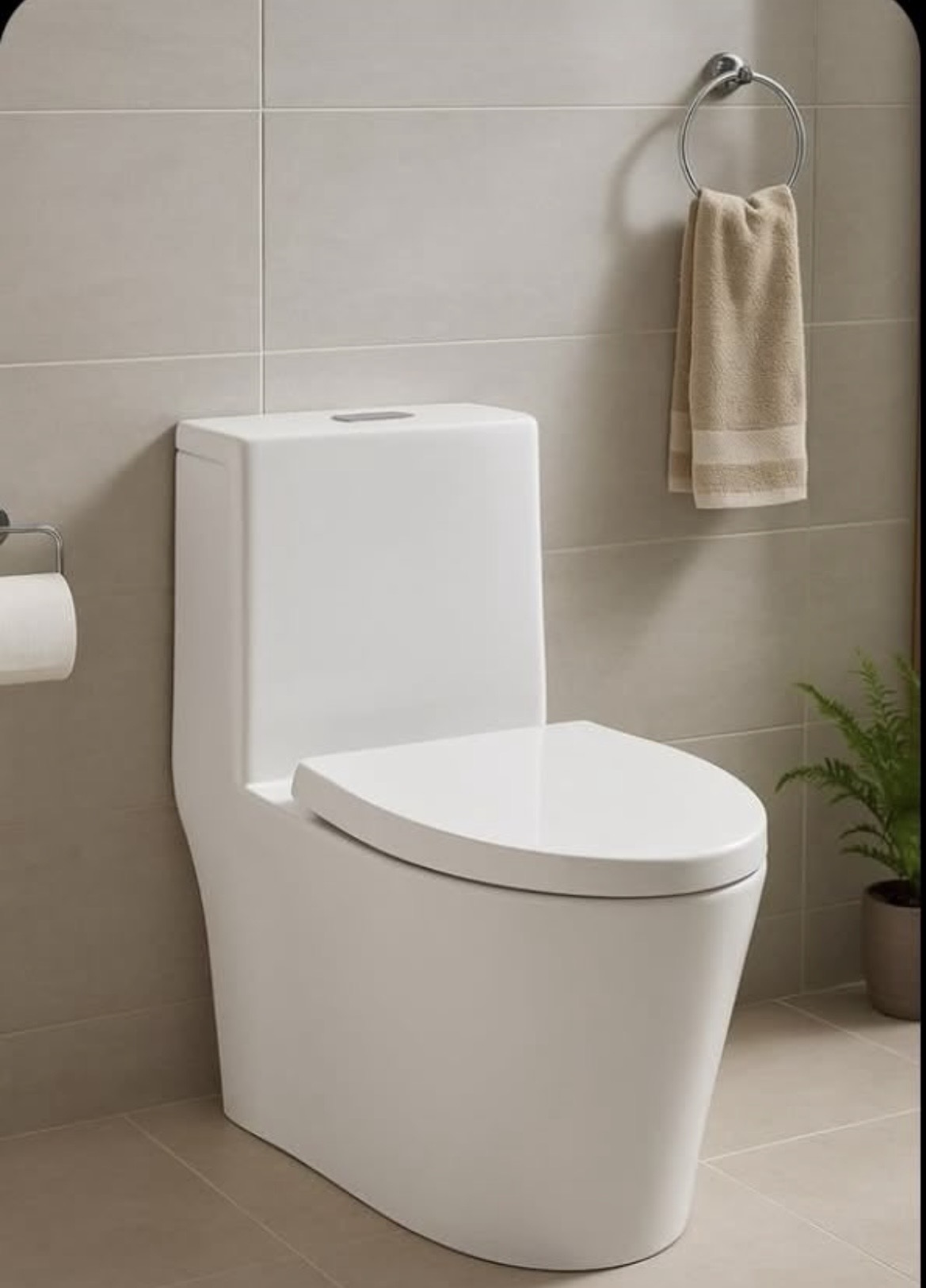 One Piece Toilet