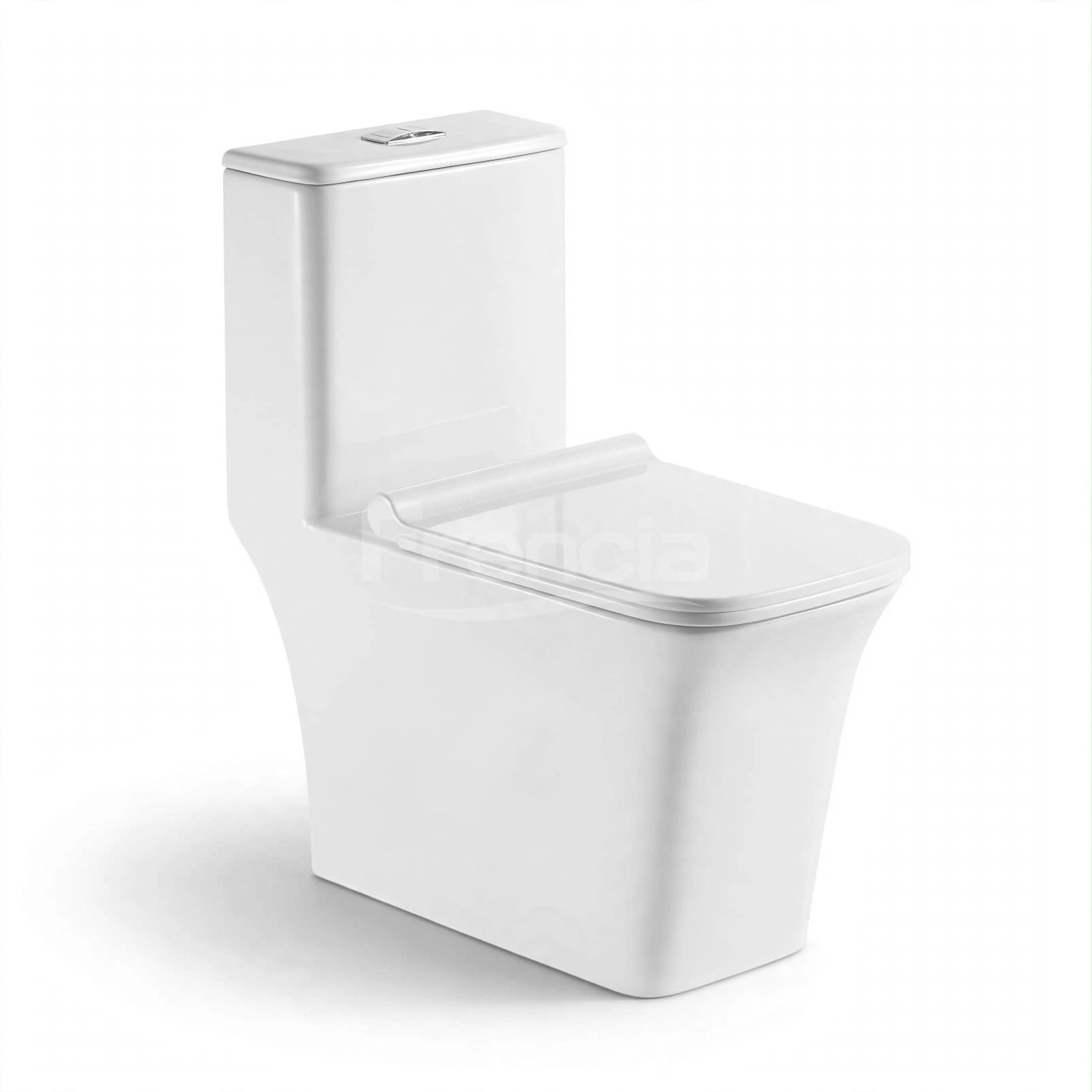 Toilet WC-305